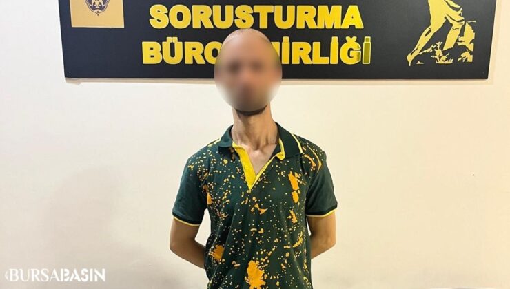 Bursa’da Okul Hırsızlığı Yapan Fare Yakalandı