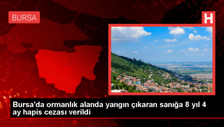 Bursa’da Orman Yangını Davasında Sanığa Verilen Cezaya Karar Verildi