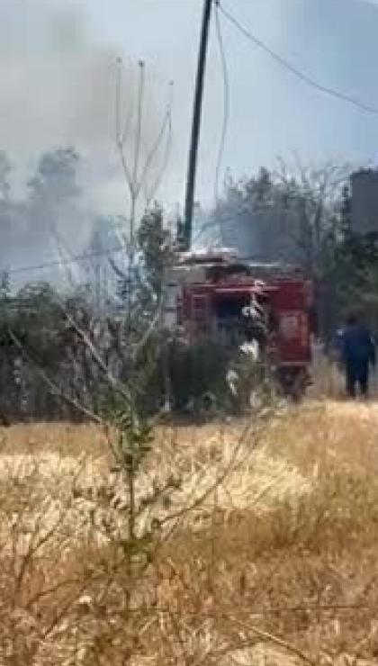 Bursa'da yangınlar bitmiyor! Şimdi de Demirtaş'ta yangın