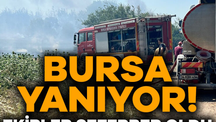 Bursa’daki Anız Yangınında Seferber Oldular