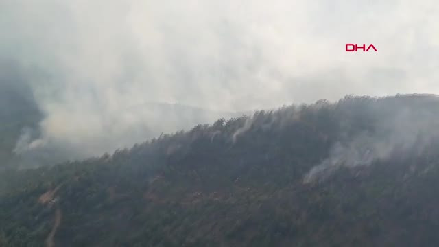 Bursa'daki orman yangını havadan görüntülendi