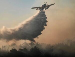 Çanakkale Eceabat’ta Dünden Beri Devam Eden Orman Yangını Kontrol Altında