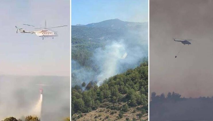 Çanakkale, Muğla ve Uşak’ta Orman Yangınları: Alevler Rüzgârın Tesiriyle Yayıldı, Bazı Konutlar Tahliye Edildi!