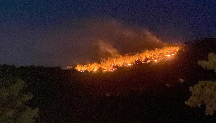 Çanakkale’de Bir Yangın Daha: Ayvacık’ta Söndürme Çalışmaları Sürüyor, 1 Köy Boşaltıldı