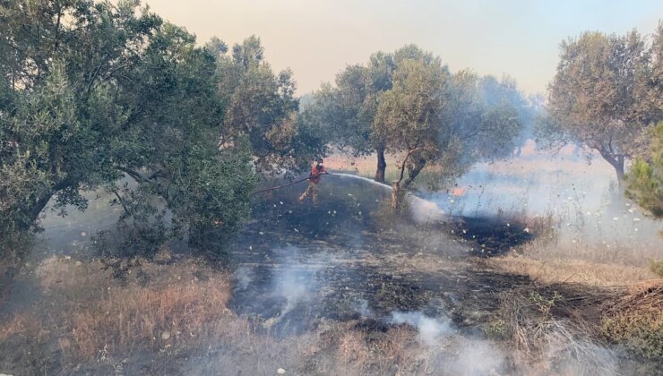 Çanakkale’de Orman ve Çimento Fabrikasına Sıçrayan Yangın