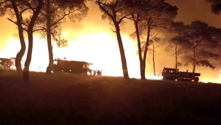 Çanakkale’de Tarım Toprağında Başlayan Yangın Ormanlık Alana Sıçradı