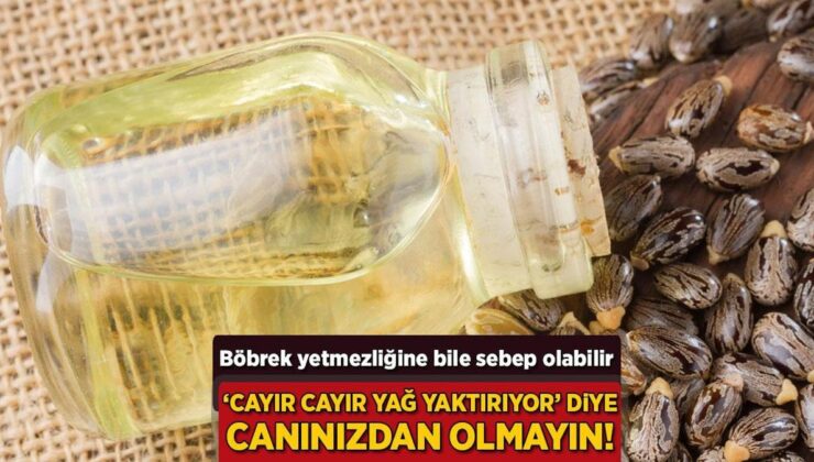 ‘Cayır Cayır Yağ Yaktırıyor’ Diye Canınızdan Olmayın! Böbrek Yetmezliğine Bile Sebep Olabilir