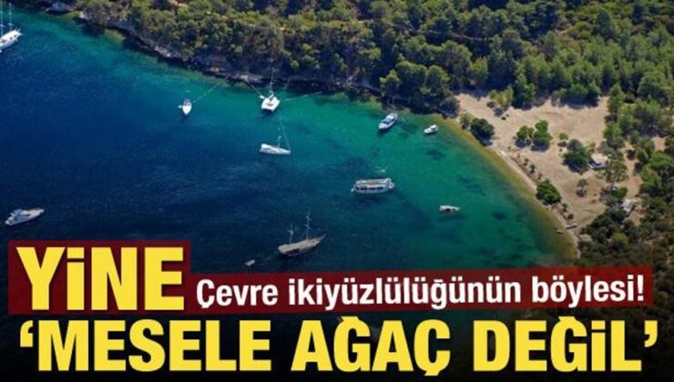 Çevre İkiyüzlülüğünün Böylesi! Yine ‘Mesele Ağaç Değil’