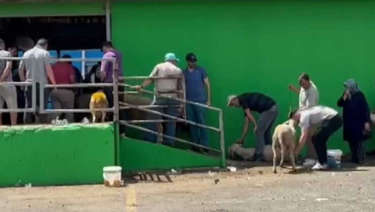 Çorlu’da Zabıta Kurban Kesiti İçin Nöbet Tuttu