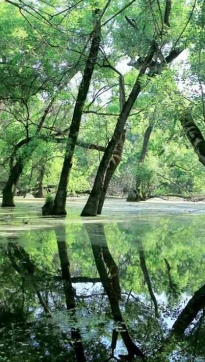 devlet muhafazasindaki bocek tartisinin 10 kati itme gucune sahip 9 yLpdXzbv