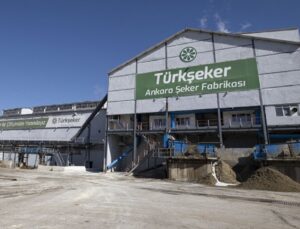 Dışa Bağımlılığı Biterecek Adım: Yerli Şeker Pancarı Tohumları Ekilecek