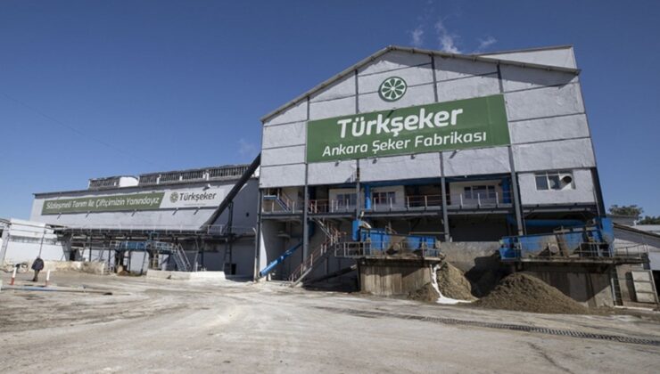 Dışa Bağımlılığı Biterecek Adım: Yerli Şeker Pancarı Tohumları Ekilecek