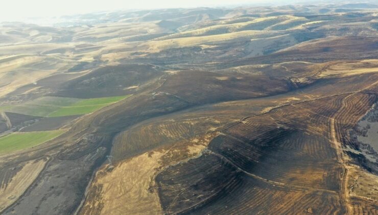 Diyarbakır ve Mardin Arasında Anız Yangını: Can Kaybı 11’e Yükseldi