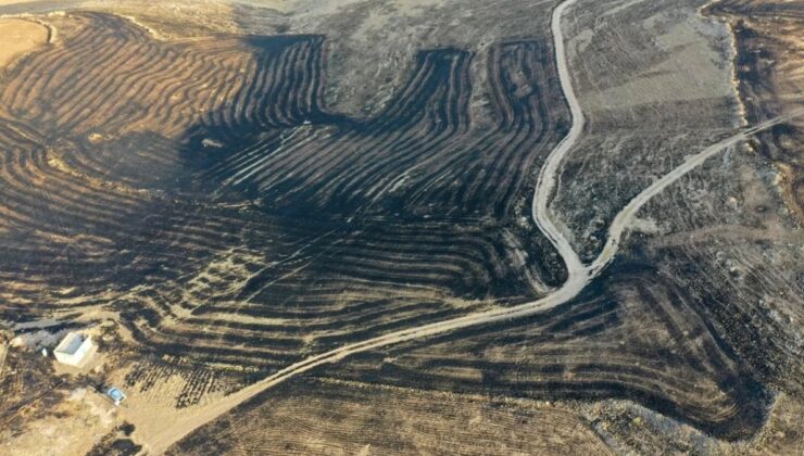 Diyarbakır ve Mardin’deki Yangınlarda Bilanço Artıyor: 11 Ölü