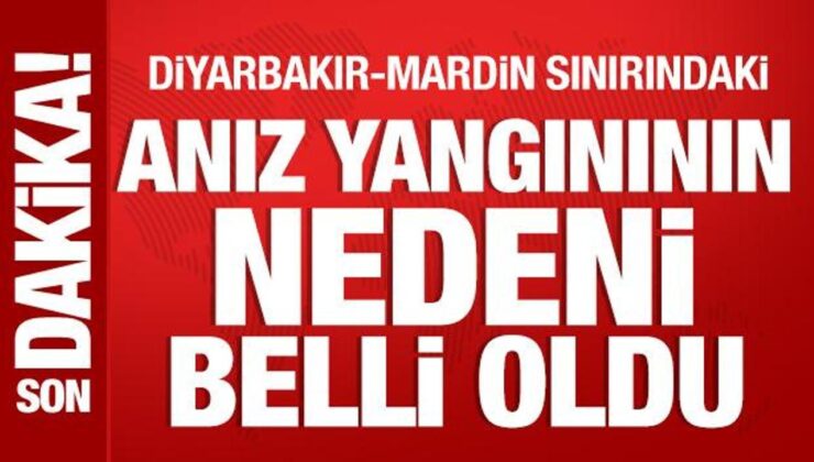 Diyarbakır’daki Anız Yangınının Nedeni Belli Oldu