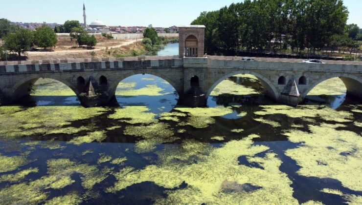 Edirne’de Üzeri Yosun Tutan Tunca Irmağı’nın Debisi Bir Ayda Yarıya Düştü