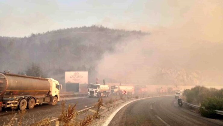 Efeler Belediyesi, Kuşadası’ndaki Yangın Söndürme Çalışmalarına Destek Verdi