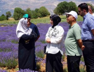 Emekli Hemşire Betül Arslan, Gökçekent Köyünde Lavanta Yetiştiriciliği Yaparak Kadınlara Örnek Oluyor