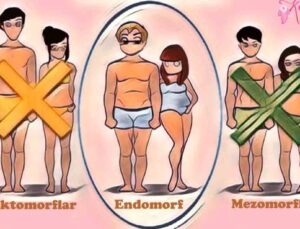 Endomorf Diyeti Nedir? Mezomorflar, Ektomorflar Hakkında Bilmeniz Gereken 3 Şey