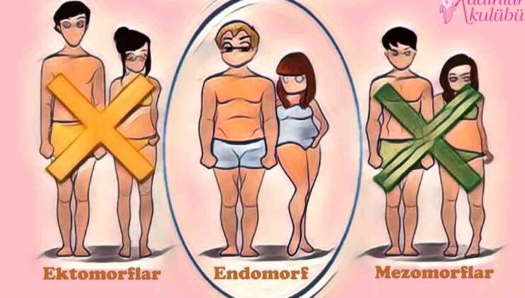 Endomorf Diyeti Nedir? Mezomorflar, Ektomorflar Hakkında Bilmeniz Gereken 3 Şey