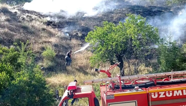 Erzincan’da Çıkan Örtü Yangını İtfaiye Tarafından Söndürüldü