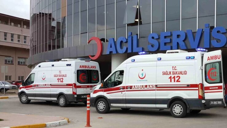 Erzincan’da Kamyonetin Bariyerlere Çarpması Sonucu 9 Kişi Yaralandı