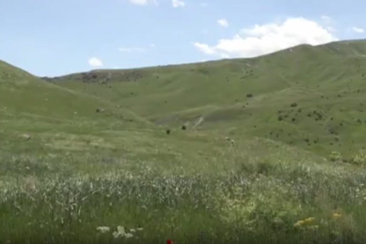 Hakkari’den Uludağ’a Birçok Bölgede Türkiye’nin Biyoçeşitliliği Araştırılıyor