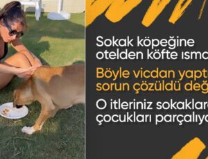 Hande Yener Yanına Gelen Köpeğe Önce Köfte Ismarladı Ardından Denize Soktu