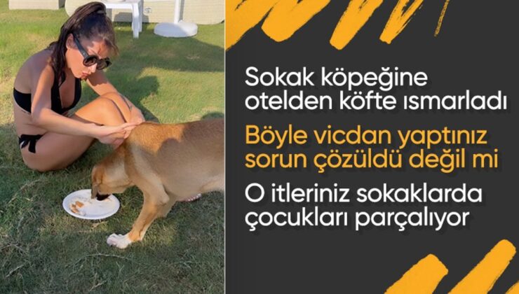 Hande Yener Yanına Gelen Köpeğe Önce Köfte Ismarladı Ardından Denize Soktu