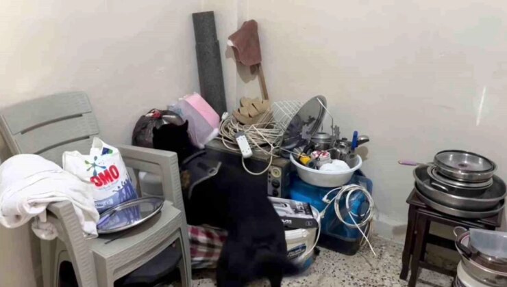 Hatay’da Polis Köpeği Uyuşturucu Buldu