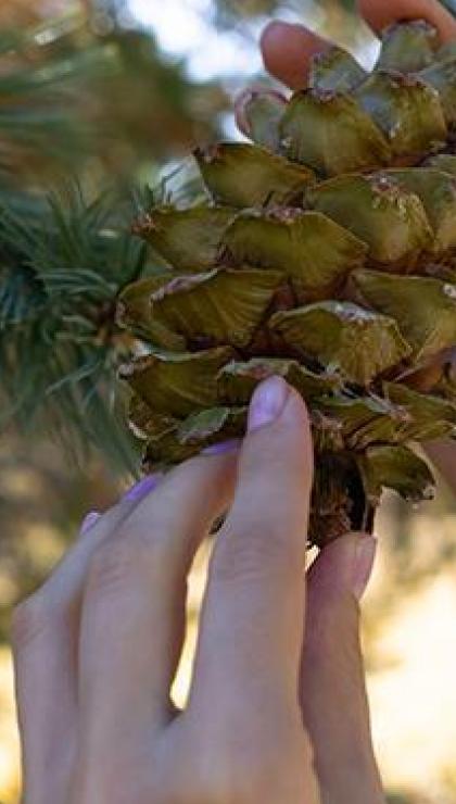 her damlasindan saglik akiyor etkisi hicbirinde yok tahrisi ortadan kaldiriyor 2 yn3WfBYS