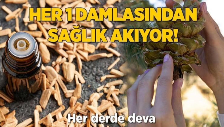 Her Damlasından Sağlık Akıyor! Etkisi Hiçbirinde Yok, Tahrişi Ortadan Kaldırıyor