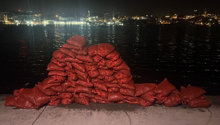 İstanbul’da Yaklaşık 2 Ton Kaçak Midye Ele Geçirildi