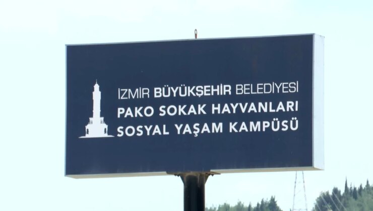 İzmir Büyükşehir Belediyesi’nden Sahipsiz Hayvanlara Destek