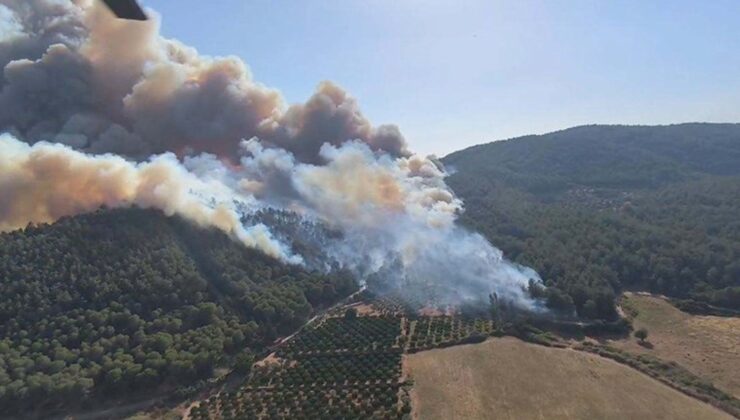 İzmir’in 4 İlçesinde Yangın: Selçuk’ta Çıkan Orman Yangını Kuşadası’na da Sıçradı