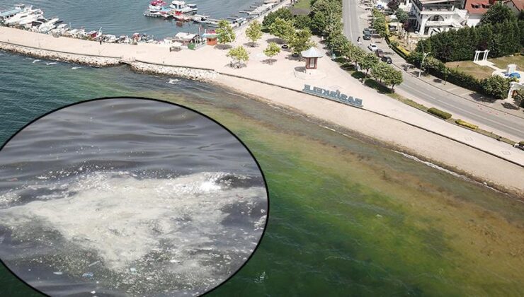 İzmit Körfezi’ndeki Beyaz Tabakanın Sebebi Belli Oldu