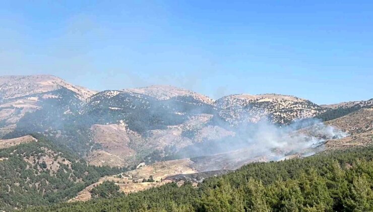 Kahramanmaraş’ta Ormanlık Alanda Yangın Çıktı