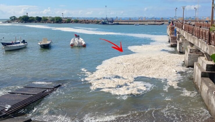 Karadeniz Müsilaj İstilasında! Mavi Bayraklı Plajda Tatilcileri Yıkan Manzara