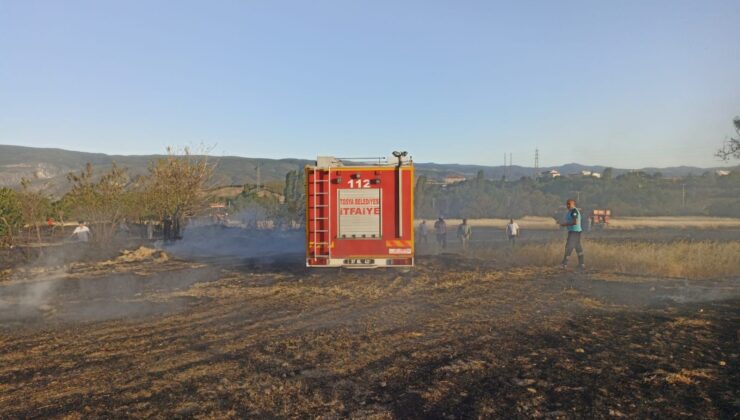 Kastamonu’da Anız Yangını: 4 Dönüm Tarla Zarar Gördü