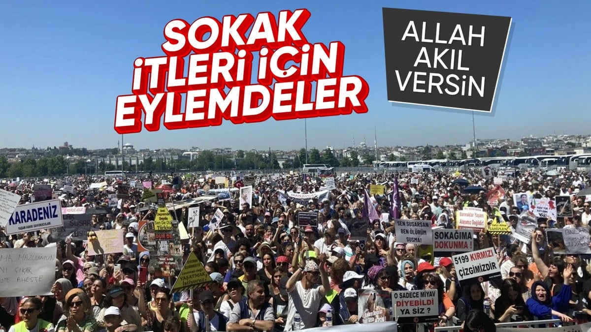 Kelamda Hayvanseverler Yurdun Dört Bir Yanında Hareket Yaptı