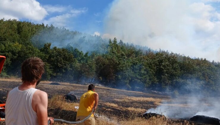 Keşan’da Balya Makinesinden Çıkan Yangın Ormana Sıçradı