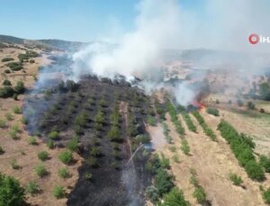 Kula’daki Makilik Alan Yangını Korkuttu