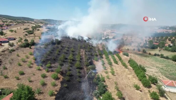 Kula’daki Makilik Alan Yangını Korkuttu