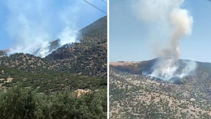 Manisa ve Siirt’te Orman Yangını! 2 Mahallede Yaşayan 430 Kişi Tahliye Edildi