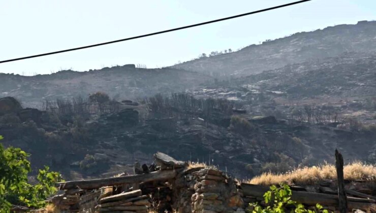 Manisa’da Yangın Hadiseleri Artıyor