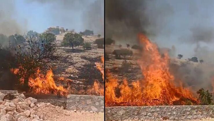 Mardin’de Anız ve Örtü Yangını! Tonlarca Saman Balyası Yandı