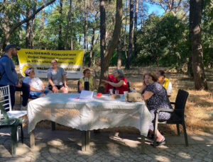 MEB’den Validebağ Korusu’na Gece Yarısı Operasyonu: Paravanlar Yerleştirdi