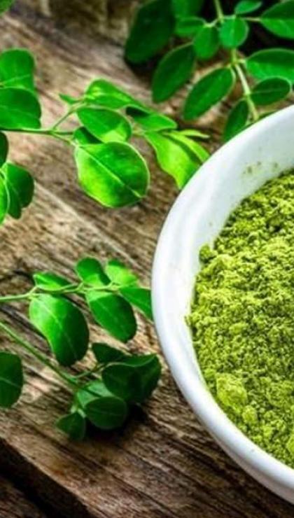 moringa bitkisi turkiyede nerede yetisir moringa cayi yararlari nelerdir 1 9fdZDVVS