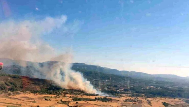 Muğla’da Ziraat Alanında Başlayan Yangın Ormanlık Alana Sıçradı