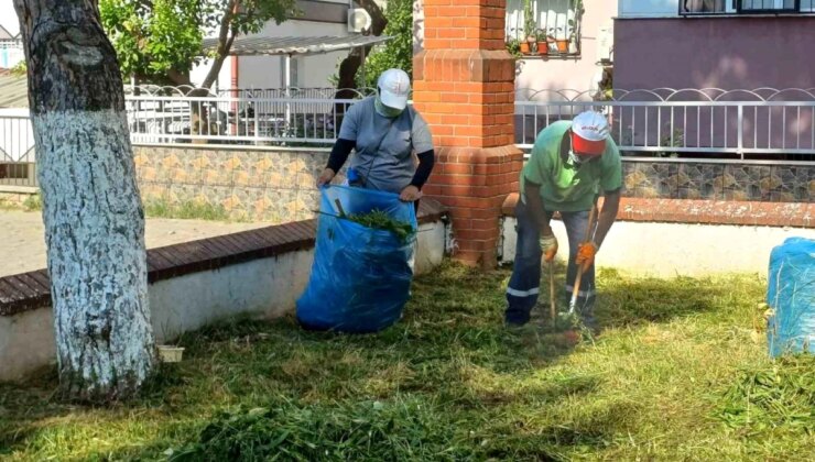 Nazilli Belediyesi, Yeşil Alanlarda Çalışmalarını Ağırlaştırdı